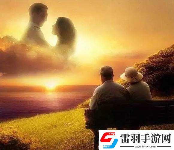 JAVAPARSERHD夫妻