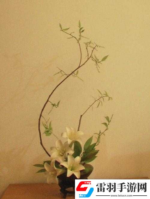 紫龍插花芯的禁忌
