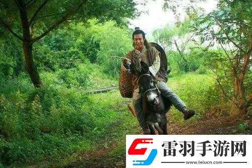 小毛驢影視回顧經(jīng)典之精彩片段