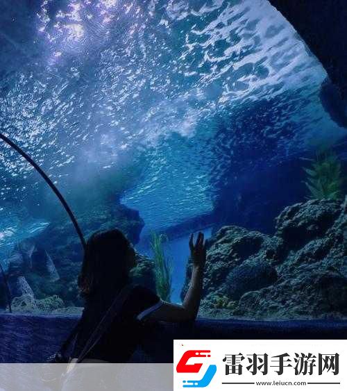 探索神奇海洋奧秘