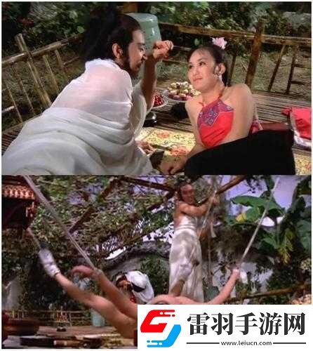 恨鎖金瓶醉鬧葡萄架之奇情軼事