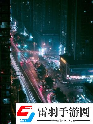 老鏢客城中村掃街83939