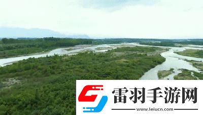 探索免費(fèi)X站的寶藏