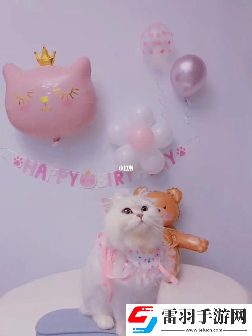 生日3Q秀