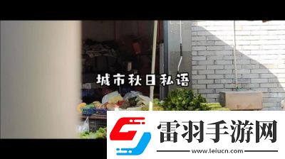 老鏢客城中村掃街83939