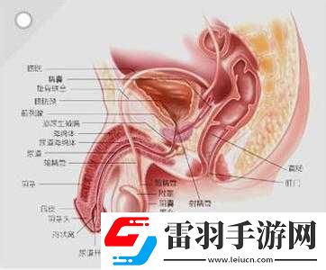 **上有白色膜