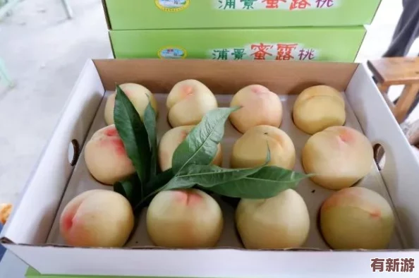 一區(qū)二區(qū)三區(qū)水蜜桃＂熱銷市場消費者紛紛追捧其獨特口感與優(yōu)質(zhì)品質(zhì)成為夏季水果新寵