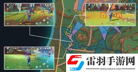 原神希諾寧突破材料灼灼彩菊快速采集攻略