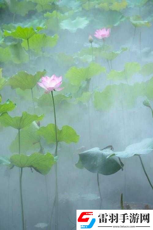 女性半夜蓮花開(kāi)