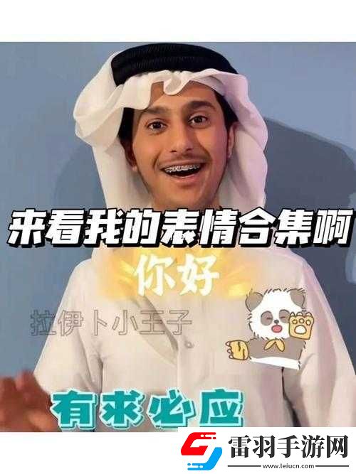 卡塔爾王子表情包大賞