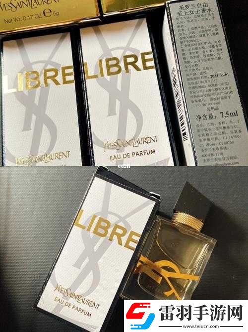 Ysl