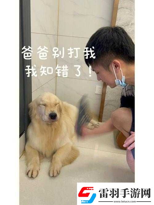 主人錯了