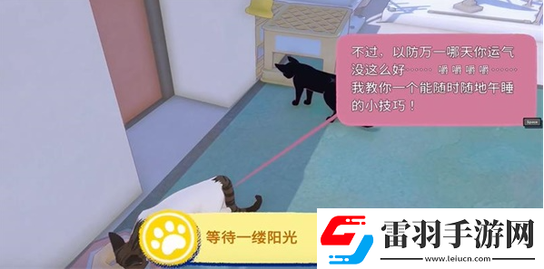 小貓咪大城市等待一縷陽光任務(wù)攻略