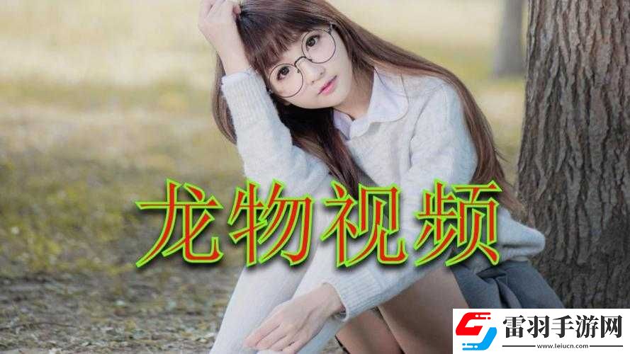 yw龍物永不換的域名是啥