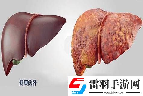 老公每天吃我小花園會(huì)傷肝嗎