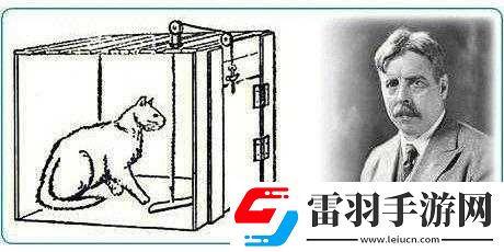 如何通過觀察貓貓它餓了達(dá)成通關(guān)