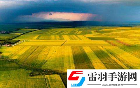 新疆昭蘇縣被譽為“天馬之鄉(xiāng)”對不對