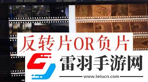 正片負片與反轉片的定義及區(qū)別
