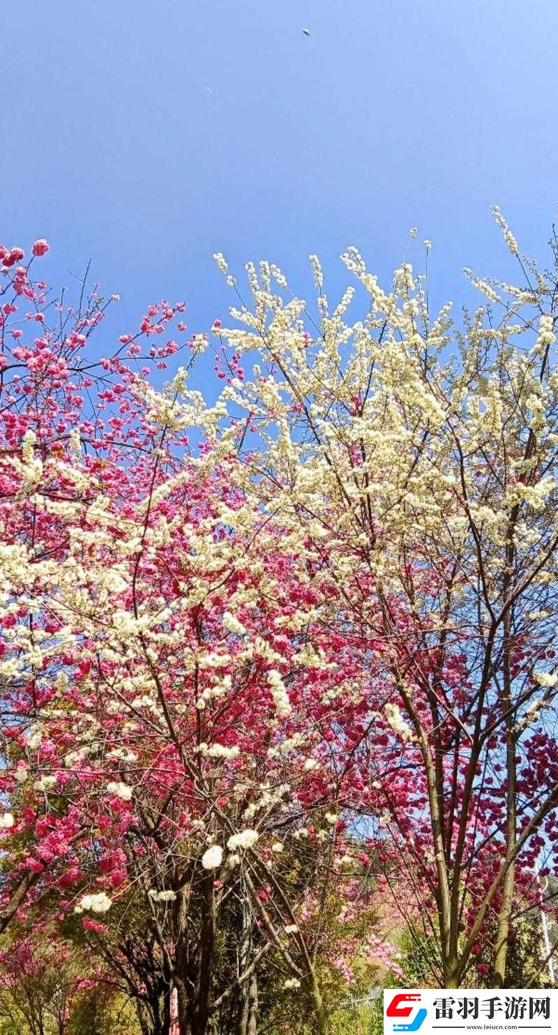 父にだけの愛(ài)を愛(ài)して