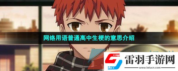 普通高中生是什么意思