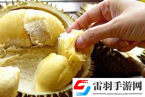 榴蓮污
