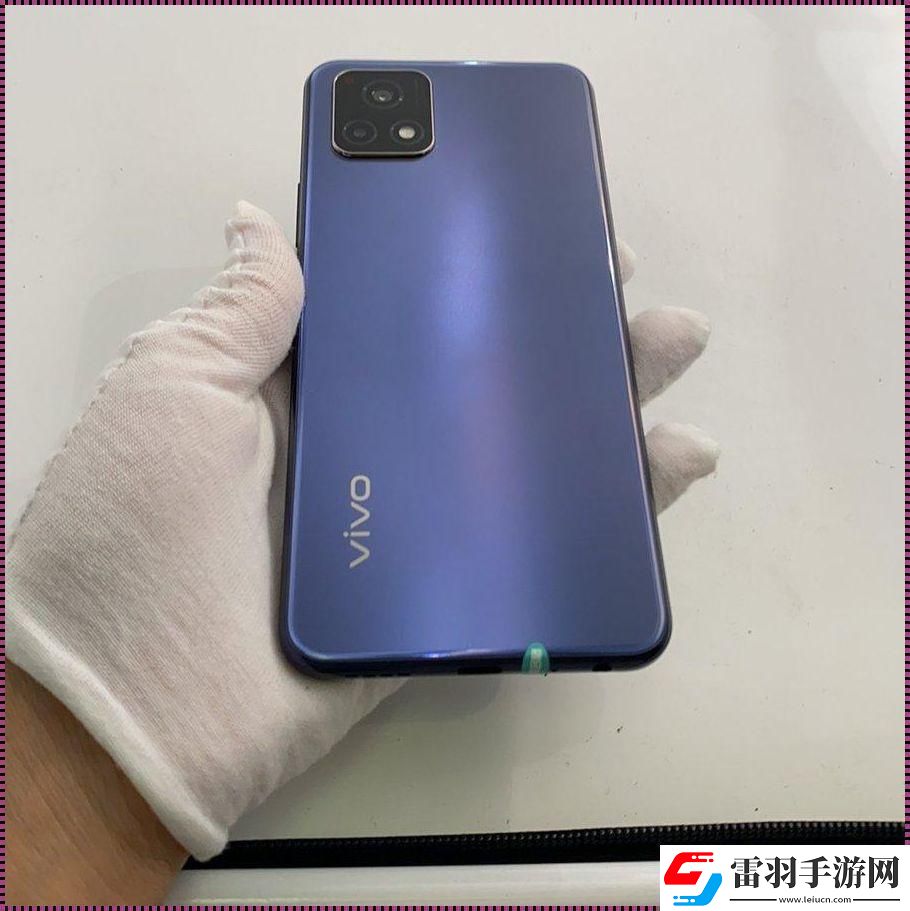 “豪情萬丈的Y31S