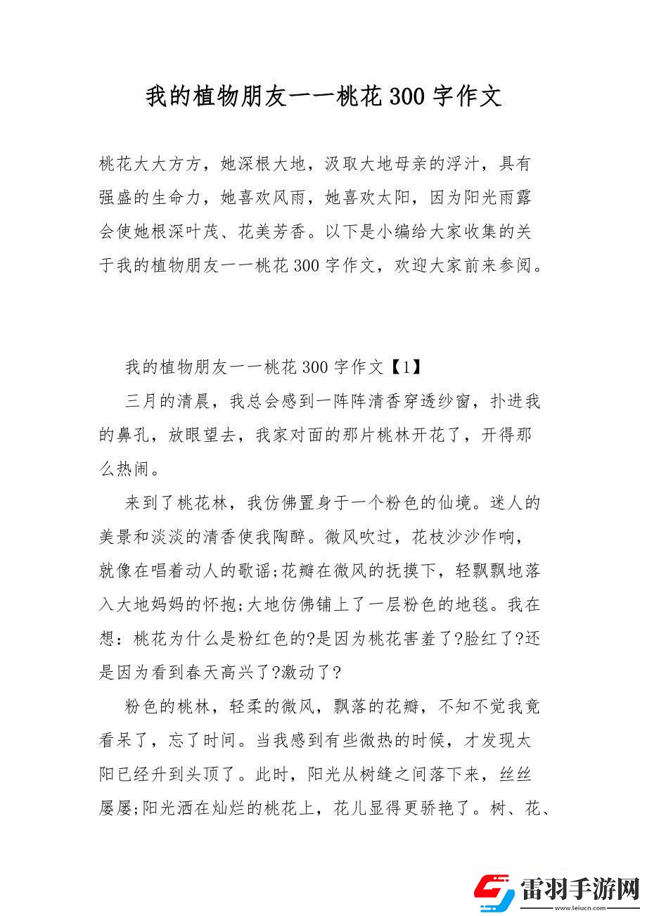 “我的桃花六少”狂想曲