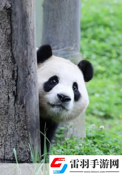 幸福寶APP官導入資源1.探索幸福寶APP