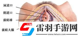 女生喊疼時