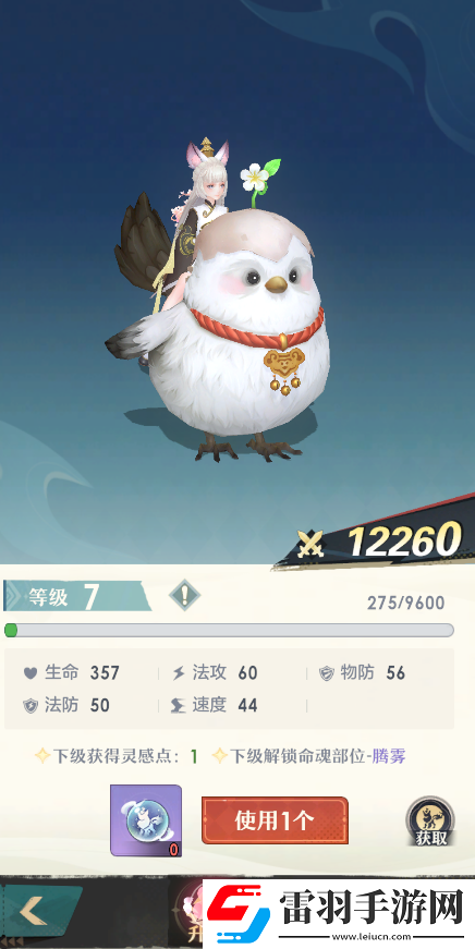 桃花師坐騎等級怎么提升
