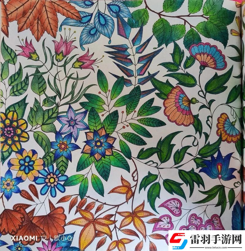 秘密花園時尚的偽命題