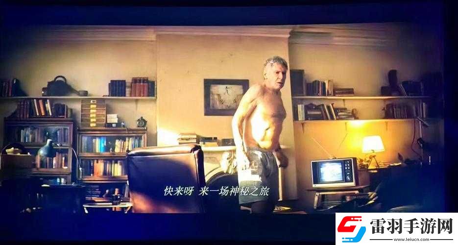 夜豬