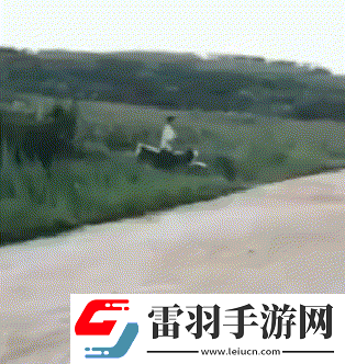 猴子來了都不知道先打哪一個動圖教你怎么緩解尷尬