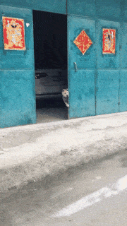 猴子來了都不知道先打哪一個動圖教你怎么緩解尷尬