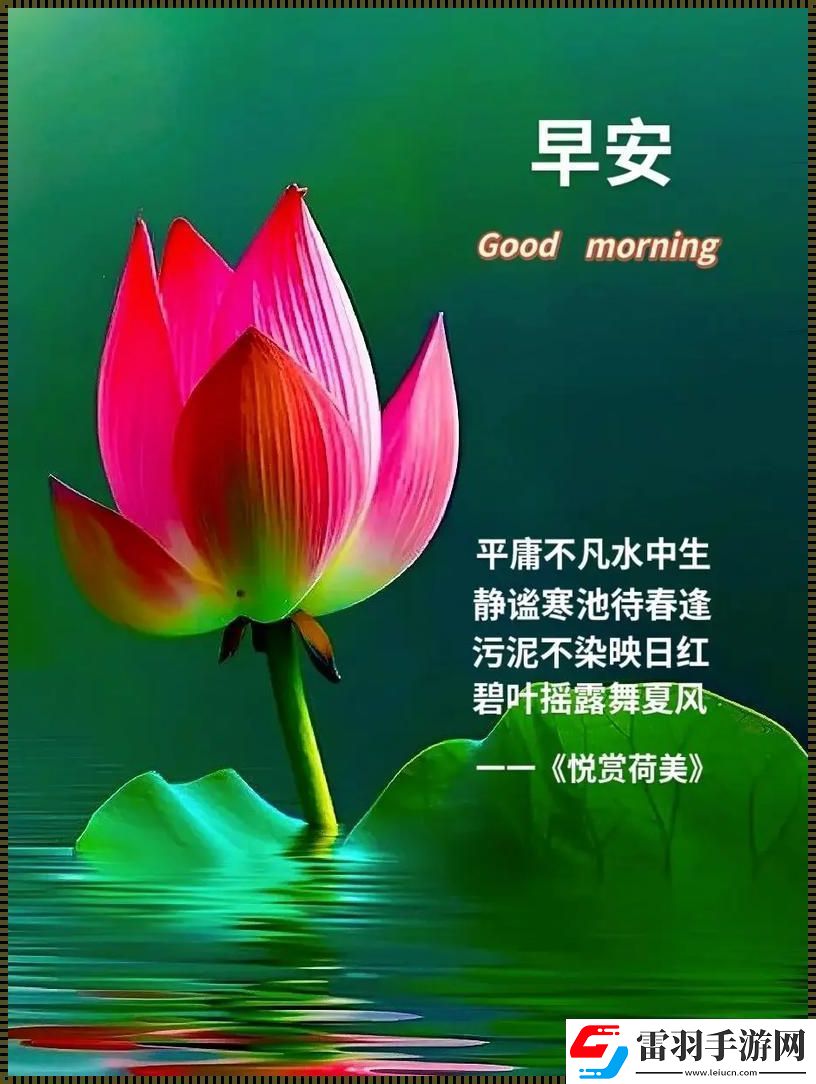美拍荷花