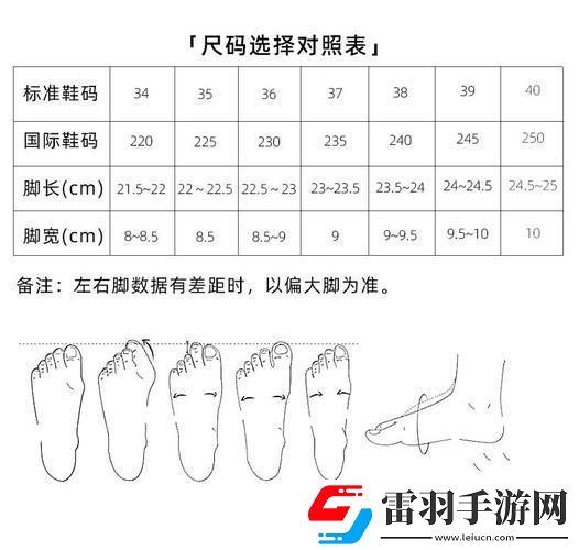 國產(chǎn)尺碼對陣歐派風(fēng)華