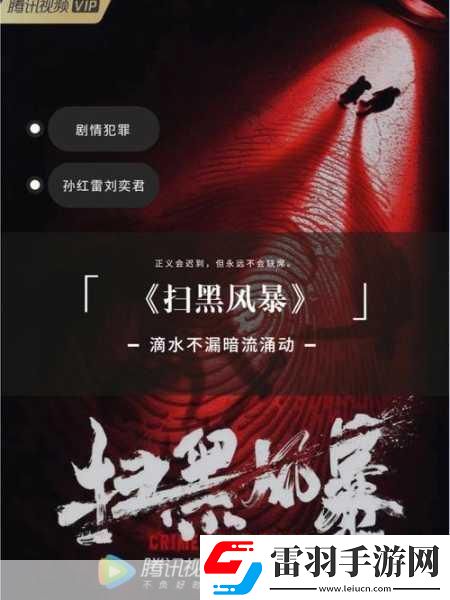 掃黑風(fēng)暴引爭議