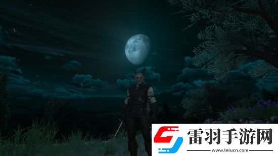 巫師3騎士五德任務(wù)怎么觸發(fā)騎士五德的觸發(fā)條件