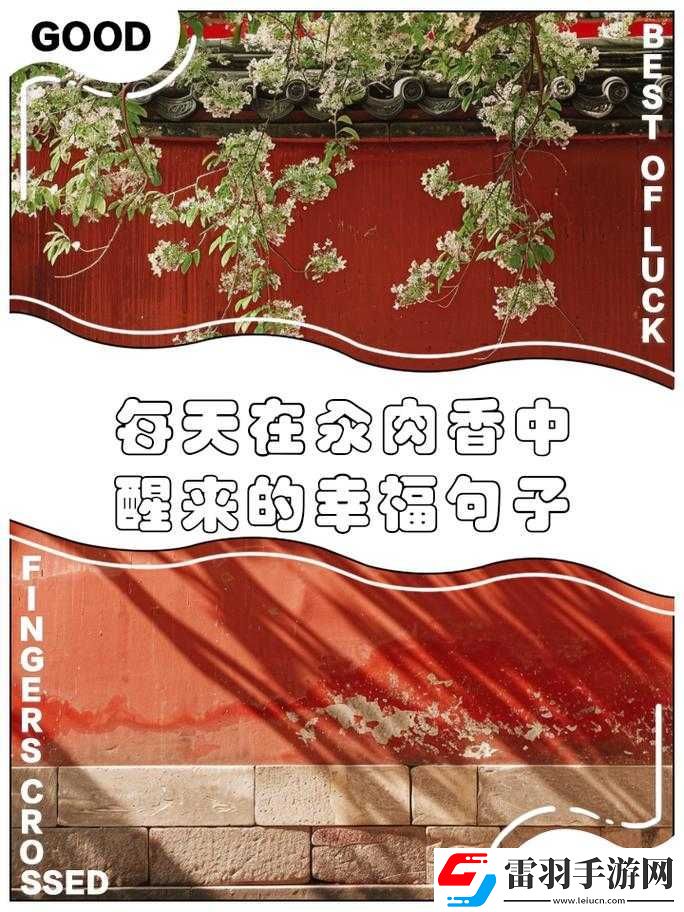 汆肉夢中游