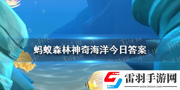 神奇海洋10月28日答案