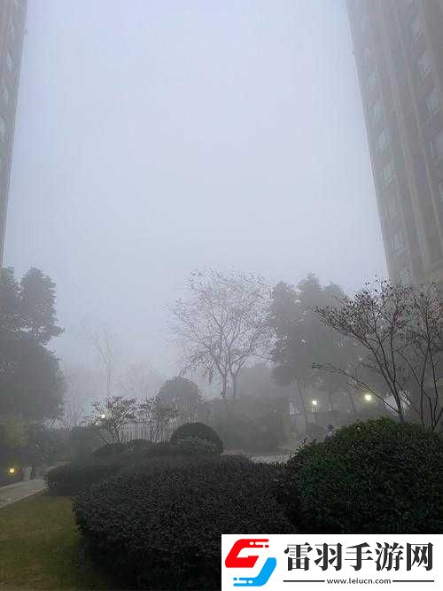 江湖決戰(zhàn)霧漫江