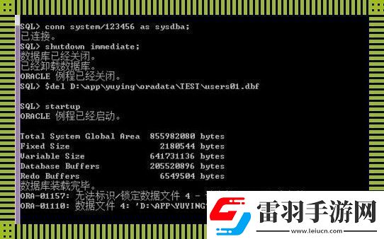 Oracle備份與恢復(fù)