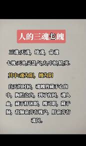 天七”究竟蘊(yùn)含何意一探究竟