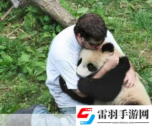 人物動物互動高清視頻素材