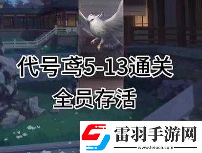 代號(hào)鳶