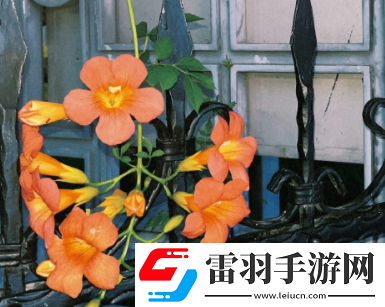 情斷緣盡的傷感句子緣分已盡的憂傷短句