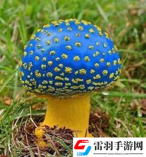 蘑菇mogula笑不活了科技圈新晉“紅”的這點事！