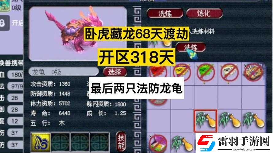 夢(mèng)幻西游鴻運(yùn)龍龜獲取攻略