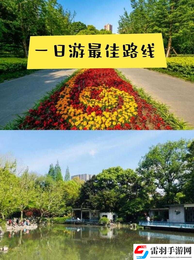看