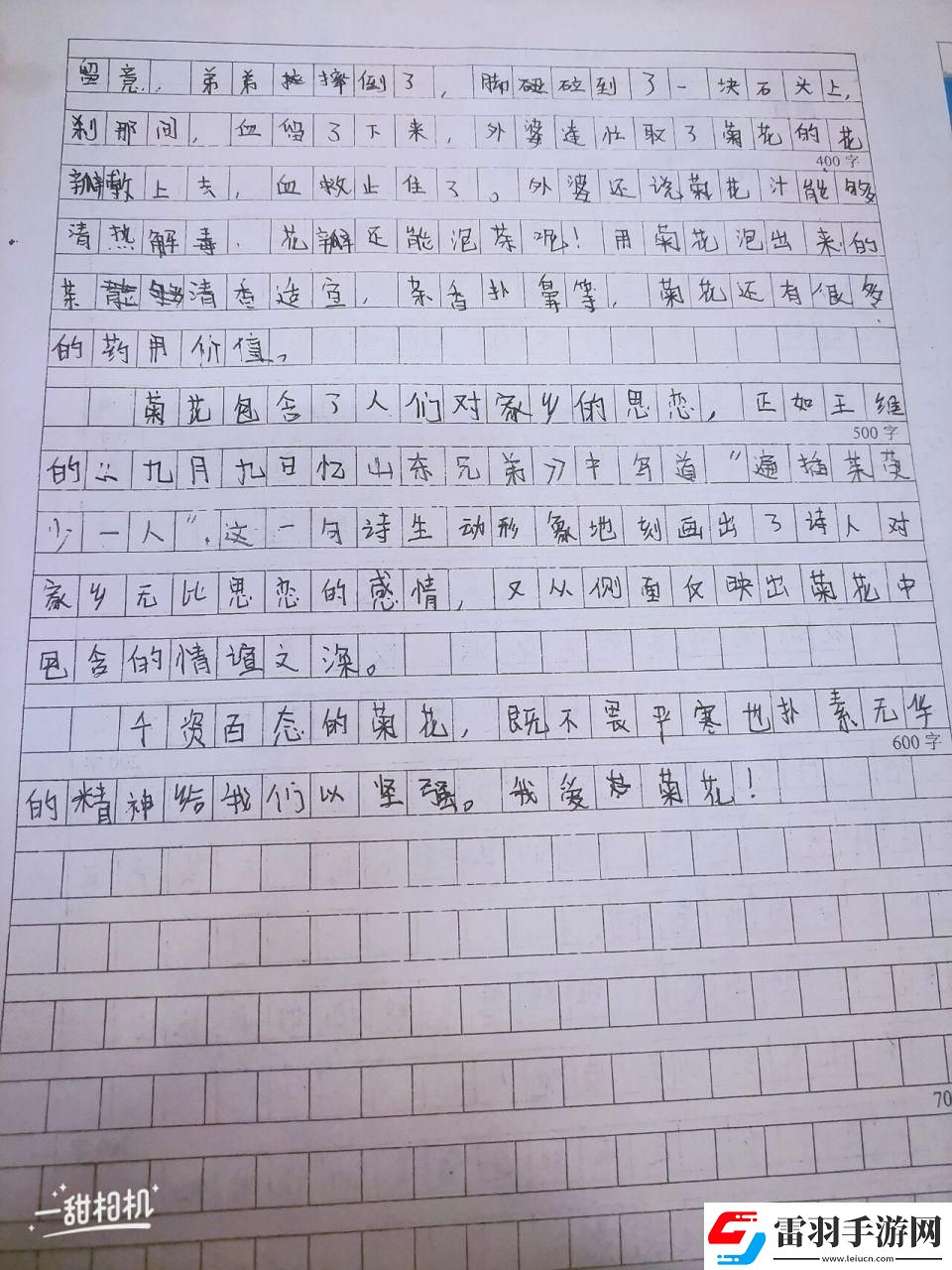咱們來聊聊“六年級菊花”的詭異魅力